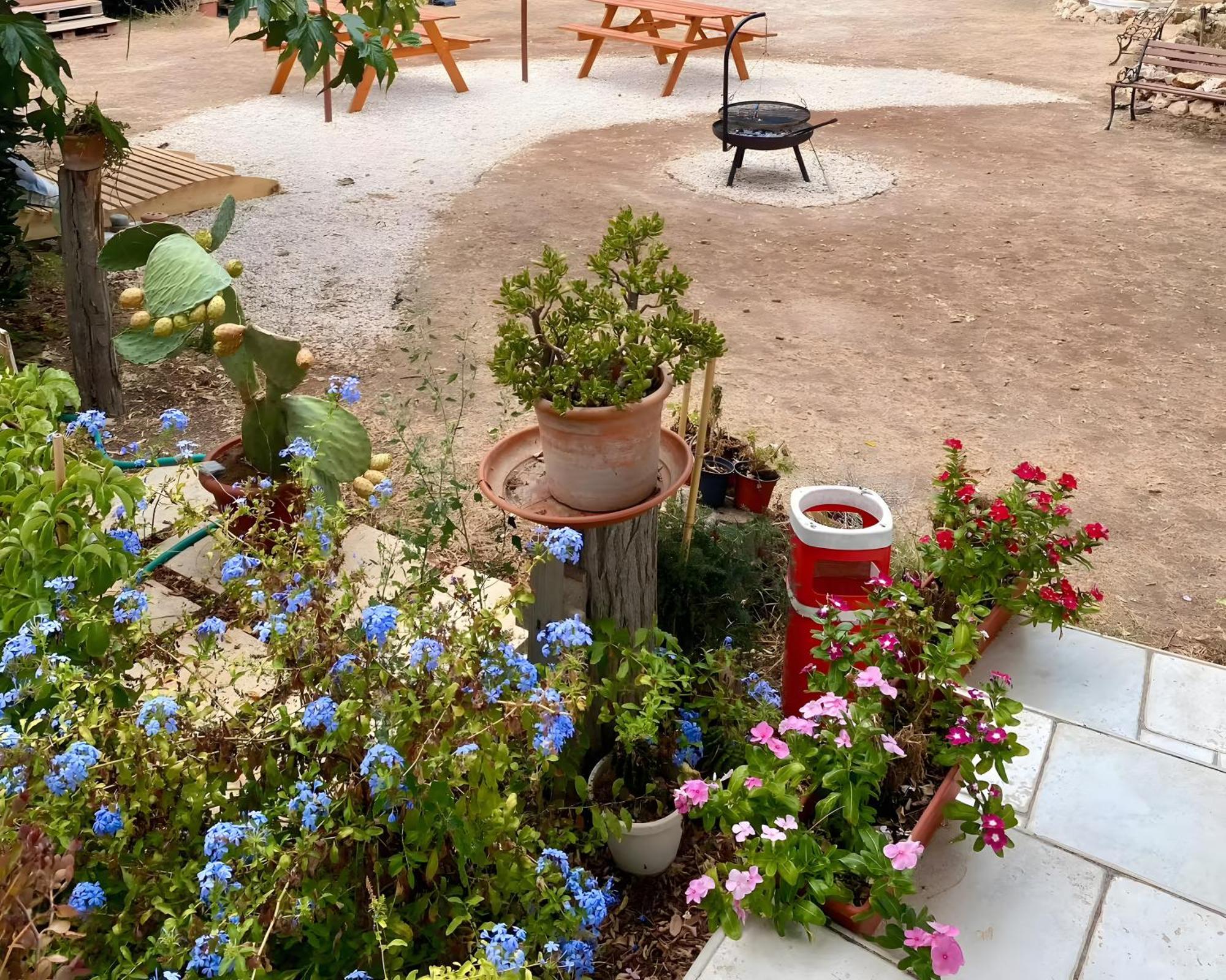 Chill Garden Experience B&B Сан Пиетро ин Беваня Екстериор снимка